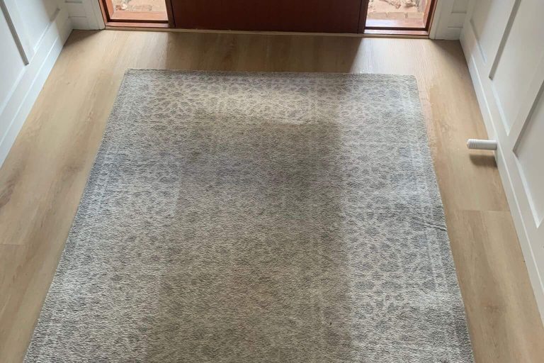 Carpet & Rug Steam Cleaning